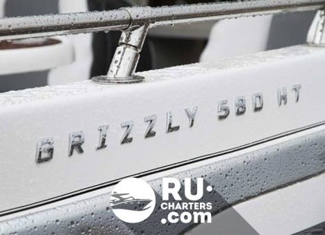 «grizzly» Аренда катера в Плёсе